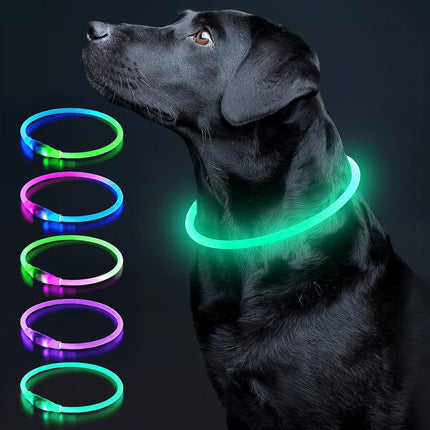 LED Dog Collar, USB Rechargeable TPU Glow Safety Collar for Large, Medium, Small Dogs (Cyan) - 1 Count.