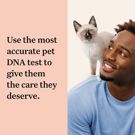 "Discover Your Cat's Hidden Potential: Wisdom Panel Complete DNA Test Kit - 2 Pack for Health Insights, Breed Identification, and Trait Analysis!"