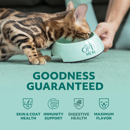 "Grain-Free Gourmet Cat Wet Food - Savory Beef & Rabbit Recipe, 24 Pouches (4.5 lbs) for Purrfect Nutrition!"