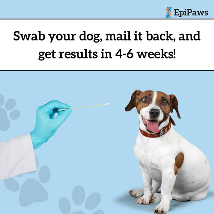 "Unlock Your Pet's Health: At-Home Age Test Kit for Dogs & Cats - Discover Wellness Insights & Life Stages with Epigenetic Testing!"