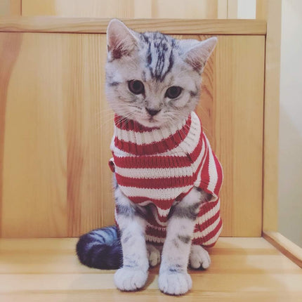 Purr-fectly Festive Feline Sweater: Santa's Little Helper Edition for Your Fluffy Holiday Sidekick!