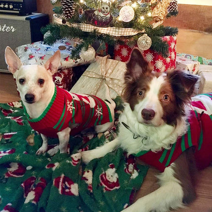 Adorable Festive Snowman Sweater for Dogs & Cats - Holiday Must-Have for Small Pets (XXL)