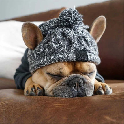 "Cozy Winter Dog Hats - Windproof Knitted French Bulldog & Chihuahua Accessories with Fluffy Ball!"