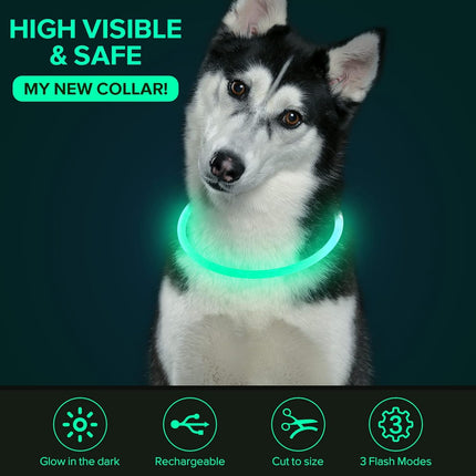 LED Dog Collar, USB Rechargeable TPU Glow Safety Collar for Large, Medium, Small Dogs (Cyan) - 1 Count.