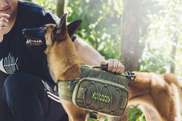 Tactical Dog BackPack