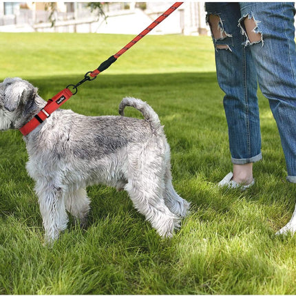 2 Packs Martingale Dog Collar with Quick Release Buckle Reflective Dog Training Collars for Small Medium Large Dogs