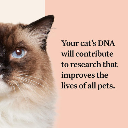 "Discover Your Cat's Hidden Potential: Wisdom Panel Complete DNA Test Kit - 2 Pack for Health Insights, Breed Identification, and Trait Analysis!"