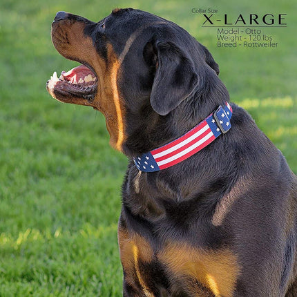 American Flag Dog Collar - Classic Design Available in Five Sizes (X-Large)