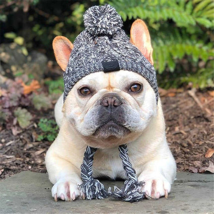 "Cozy Winter Dog Hats - Windproof Knitted French Bulldog & Chihuahua Accessories with Fluffy Ball!"