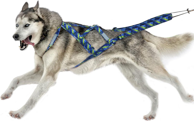 " Heavy-Duty Dog Weight Pulling Harness - Ideal for Speed Training & Workouts for Medium to Large Dogs - Stylish Blue, Size L"