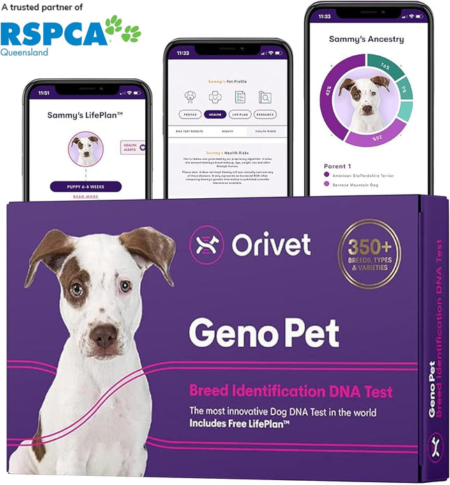 "Discover Your Dog's True Potential: Genopet DNA Test Kit for Personalized Health Insights and Tailored Life Plans!"